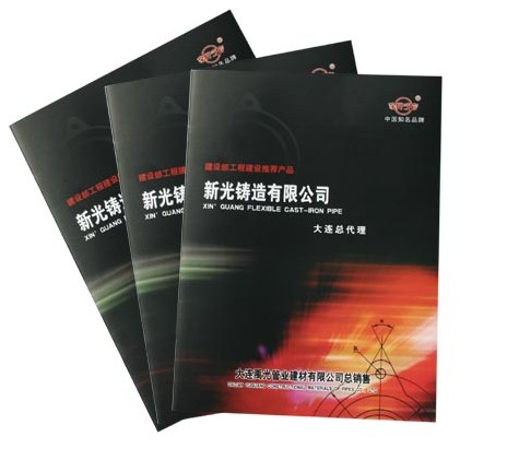 企業(yè)畫冊(cè) 企業(yè)畫冊(cè)