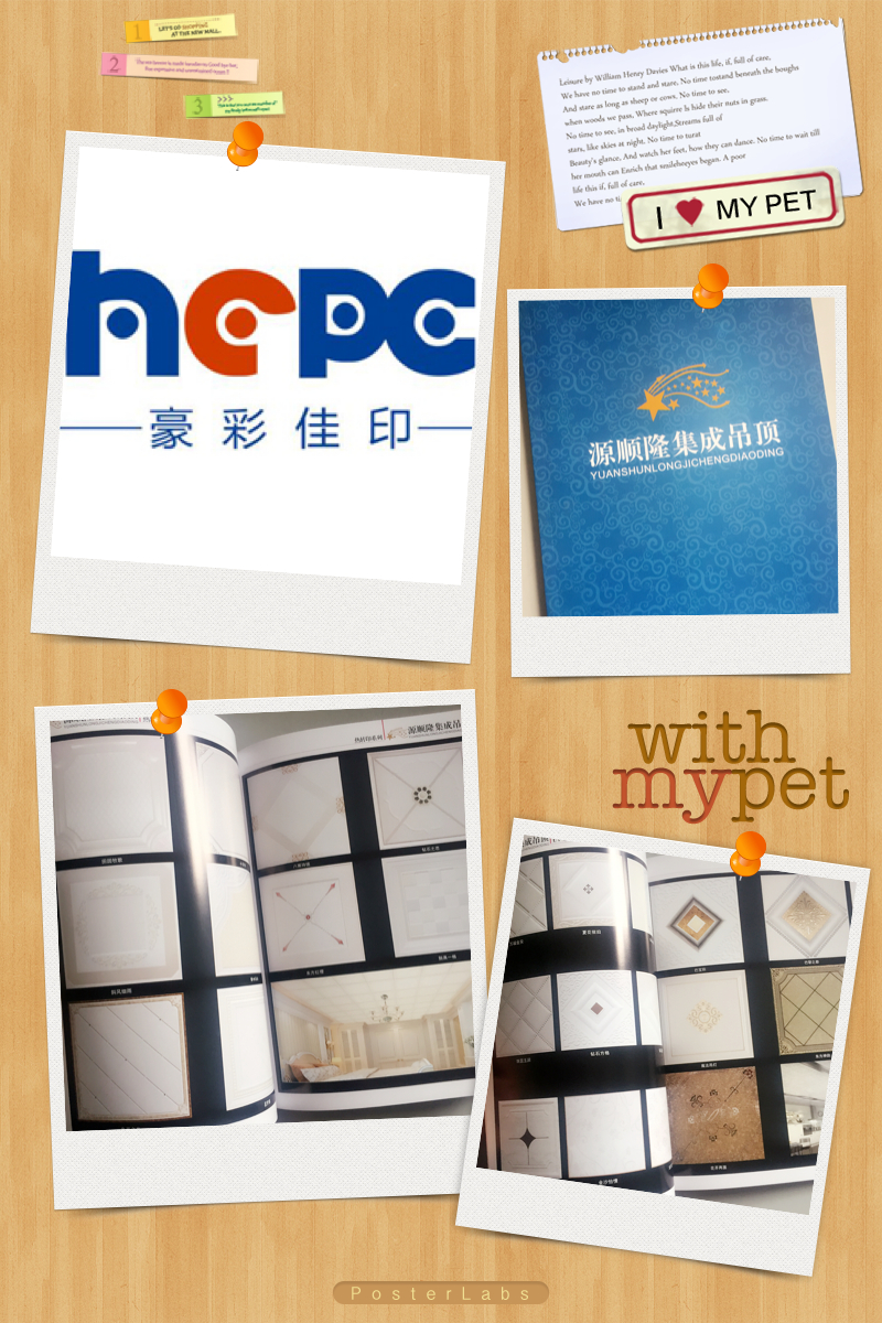 吊頂畫(huà)冊(cè)印刷