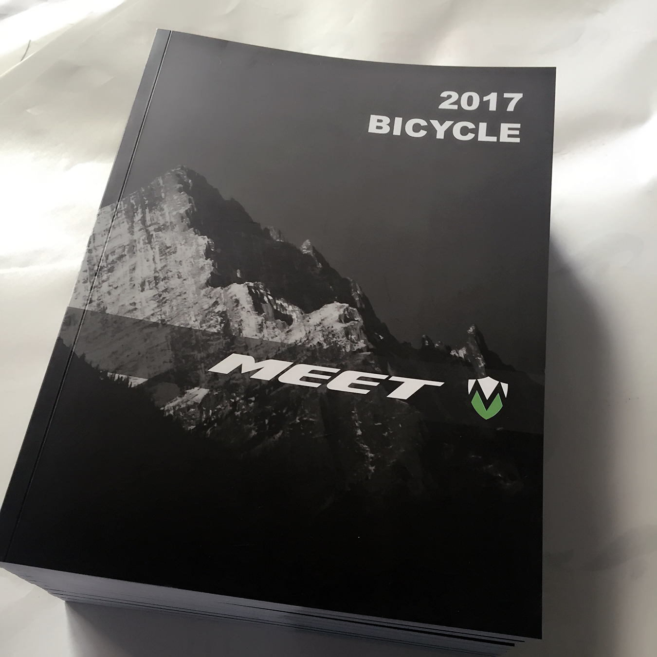 豪彩佳印企業(yè)宣傳冊印刷