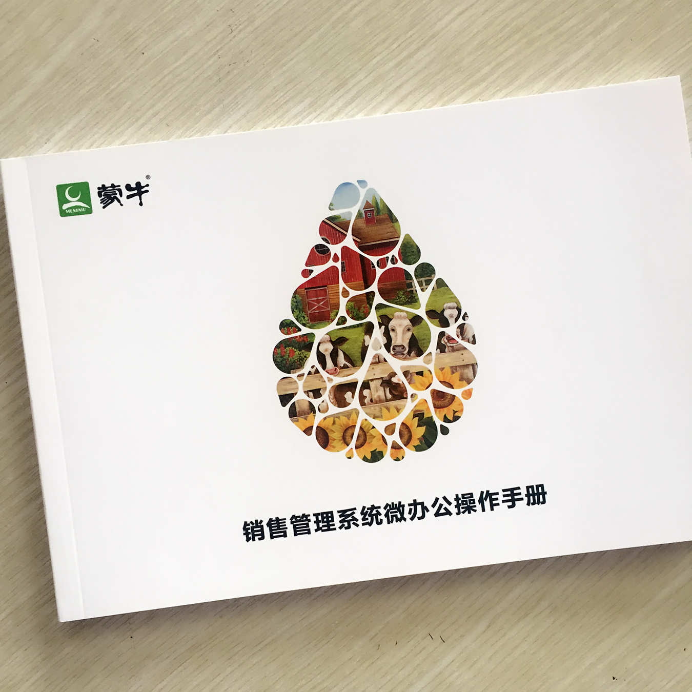 高檔畫(huà)冊(cè)印刷_畫(huà)冊(cè)印刷&mdash;&mdash;豪彩佳印值得信賴的畫(huà)冊(cè)印刷廠家!